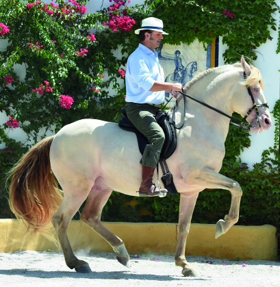 2021_Kursdaten_Stodulka